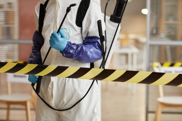 Professional Sewage Cleanup technician working in Centerville, UT